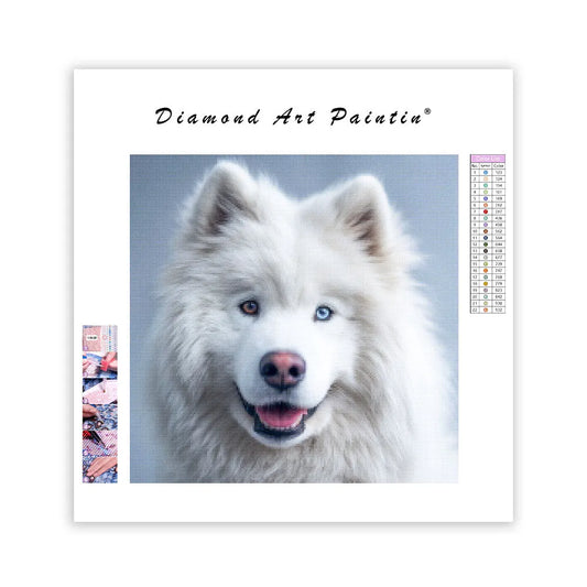 Samojed med milt leende – Diamantmålning