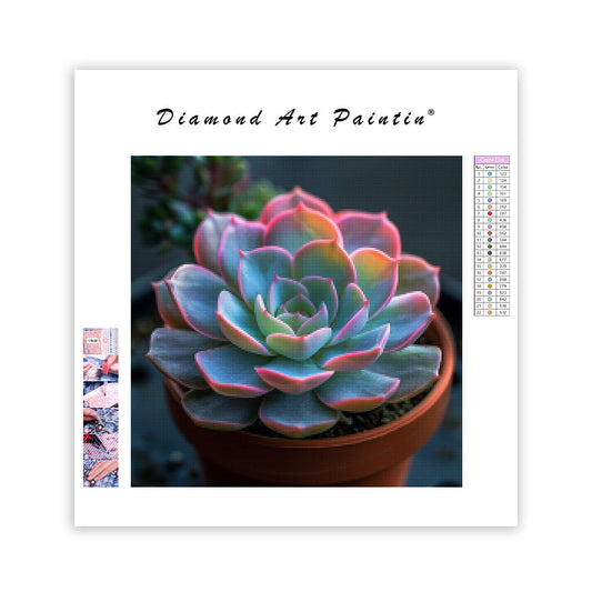 Suckulent i rosettform – Diamantmålning