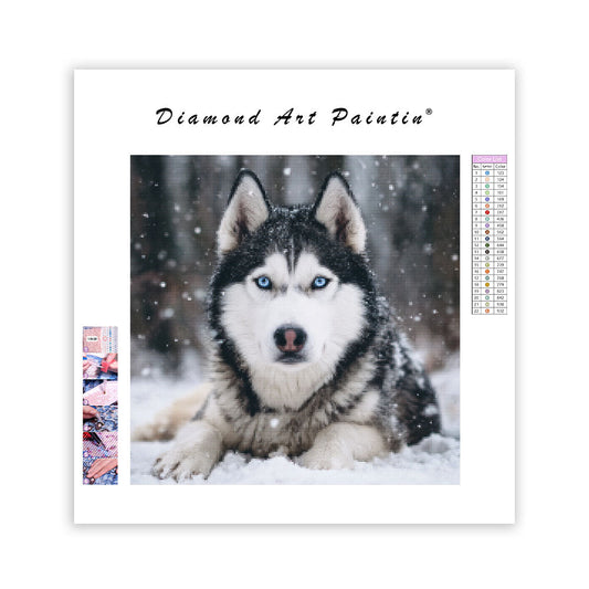 Husky i snön – Diamantmålning