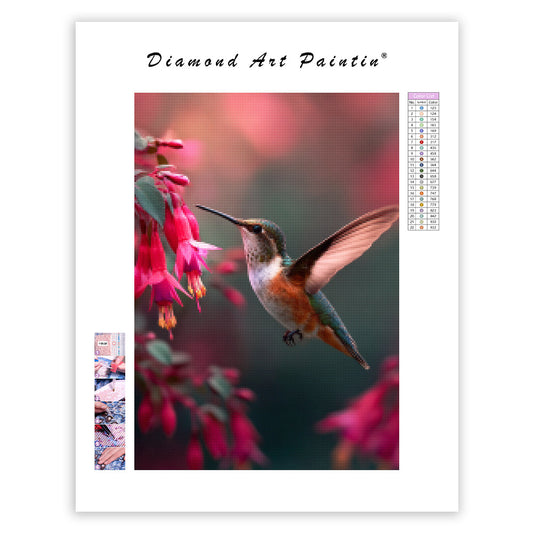 Kolibri som dricker nektar från blommor – Diamantmålning