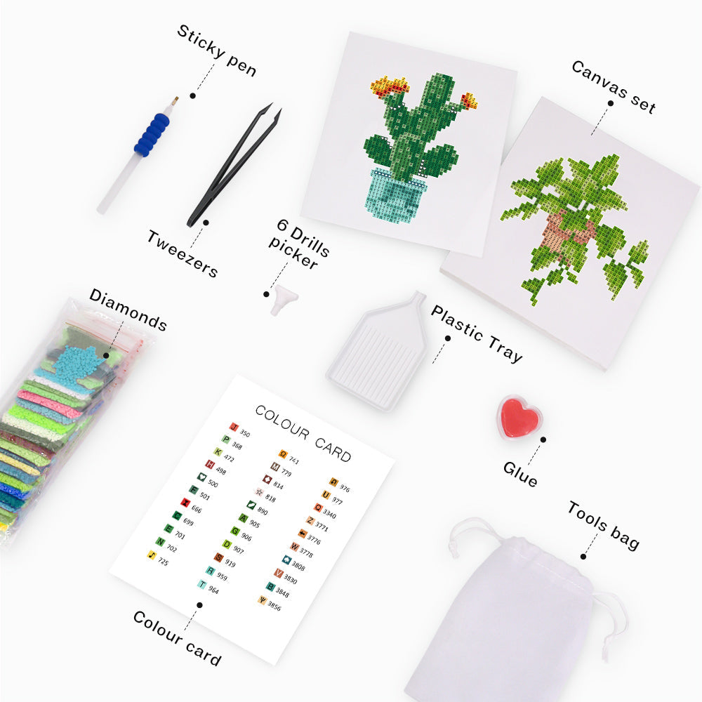Mini–Set med kaktusar och växter