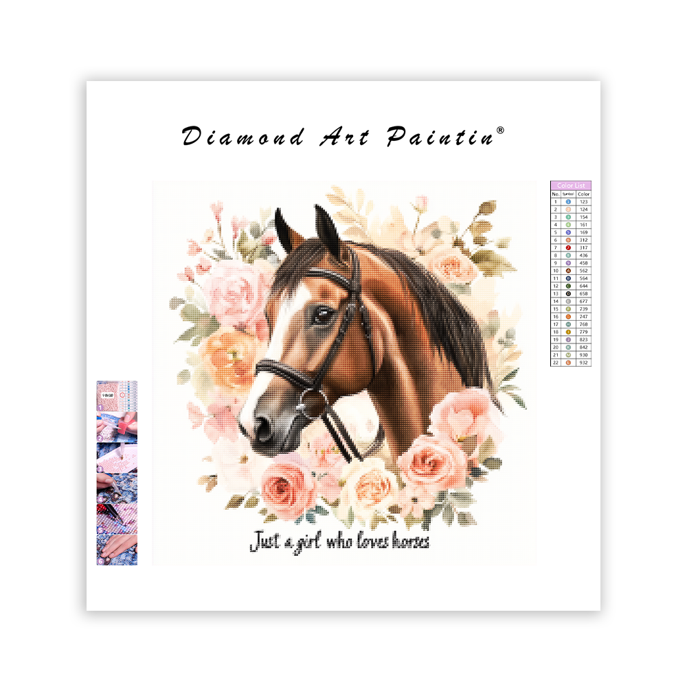 Bara en tjej som älskar hästar - Diamantmålning