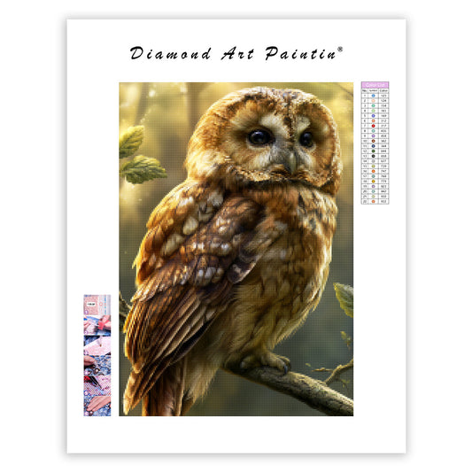 Skogsuggla – Diamantmålning