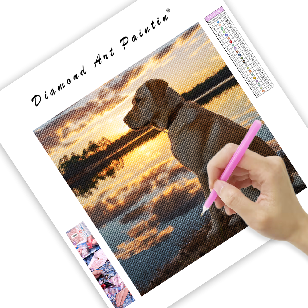 Labrador pri jazere Sunset - Diamantmålning