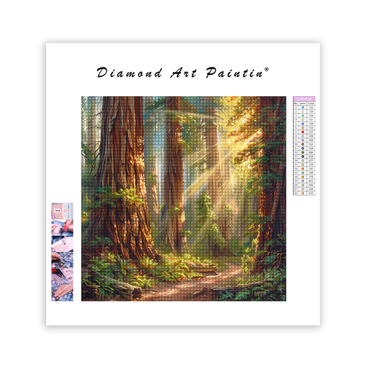 Old Forest - DiamantmåLning