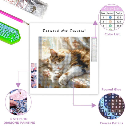 Sleeping Cat - DiamantmåLning