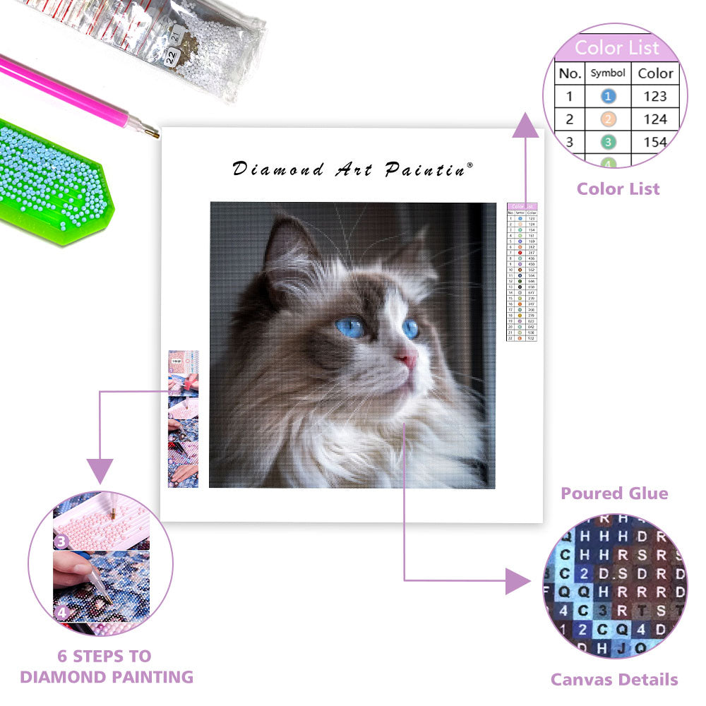 Ragdollkatt med blå ögon – Diamantmålning