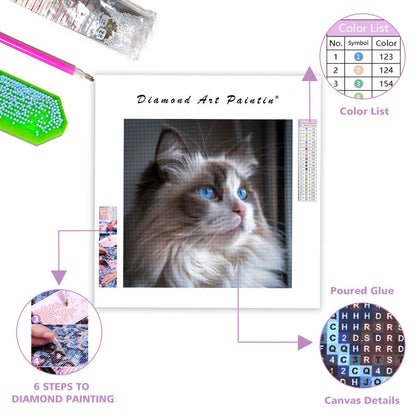 Ragdollkatt med blå ögon – Diamantmålning