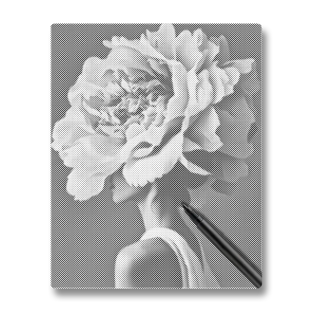 Kvinnablomma - Prickmålning