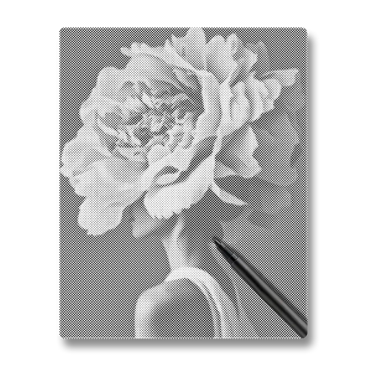 Kvinnablomma - Prickmålning