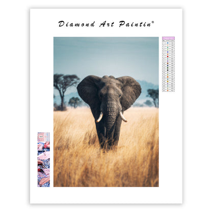 Elefant på grässlätten – Diamantmålning