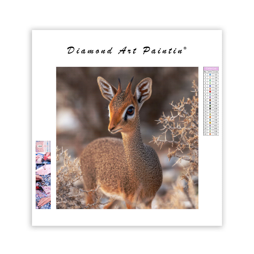 Dik-dik-antilop – Diamantmålning