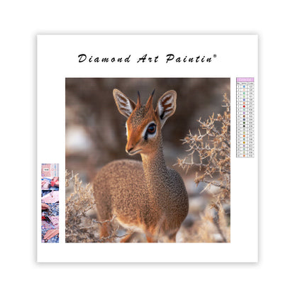 Dik-dik-antilop – Diamantmålning
