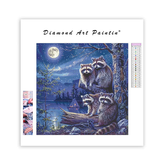 Raccoon Family - DiamantmåLning
