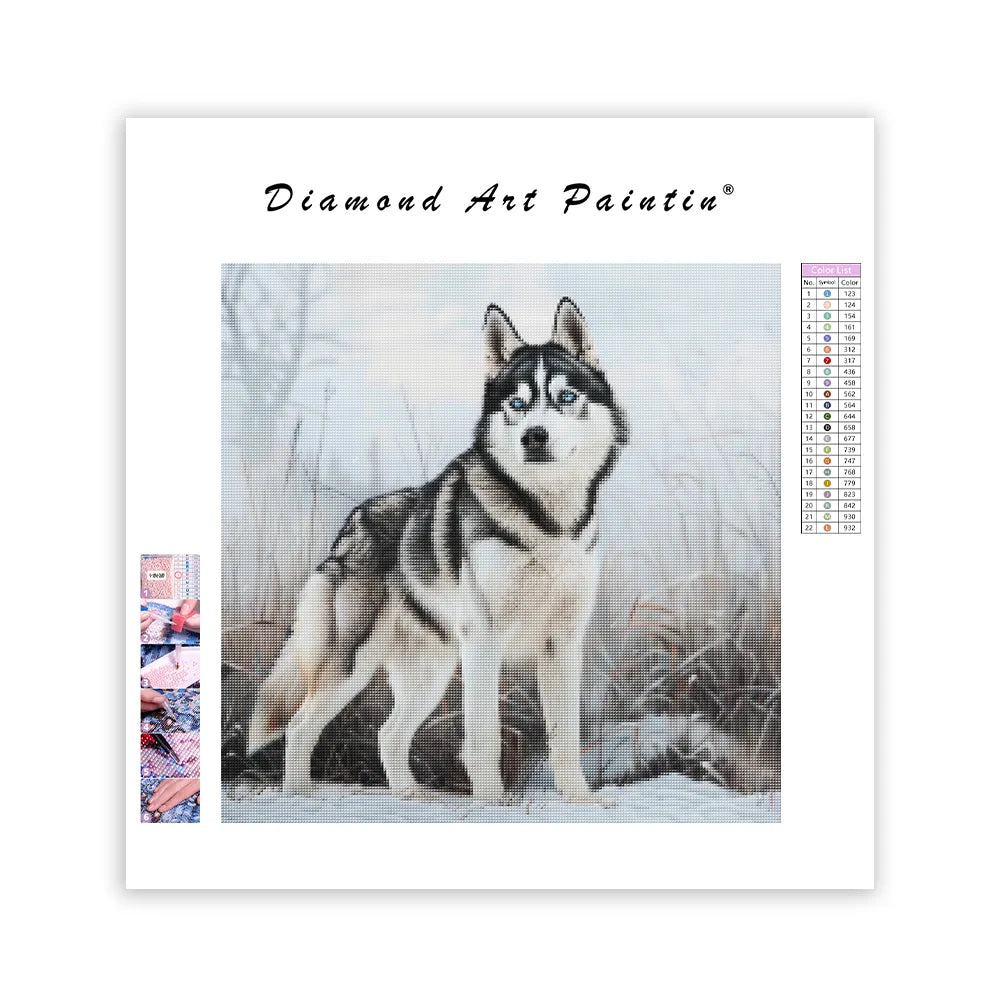 Husky v snehu - Diamantmålning
