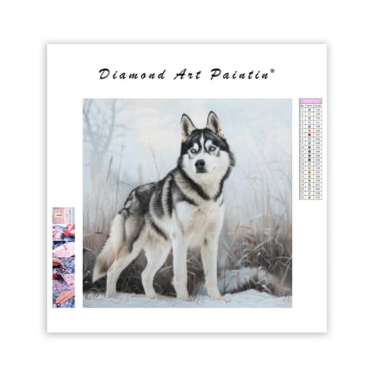 Husky v snehu - Diamantmålning
