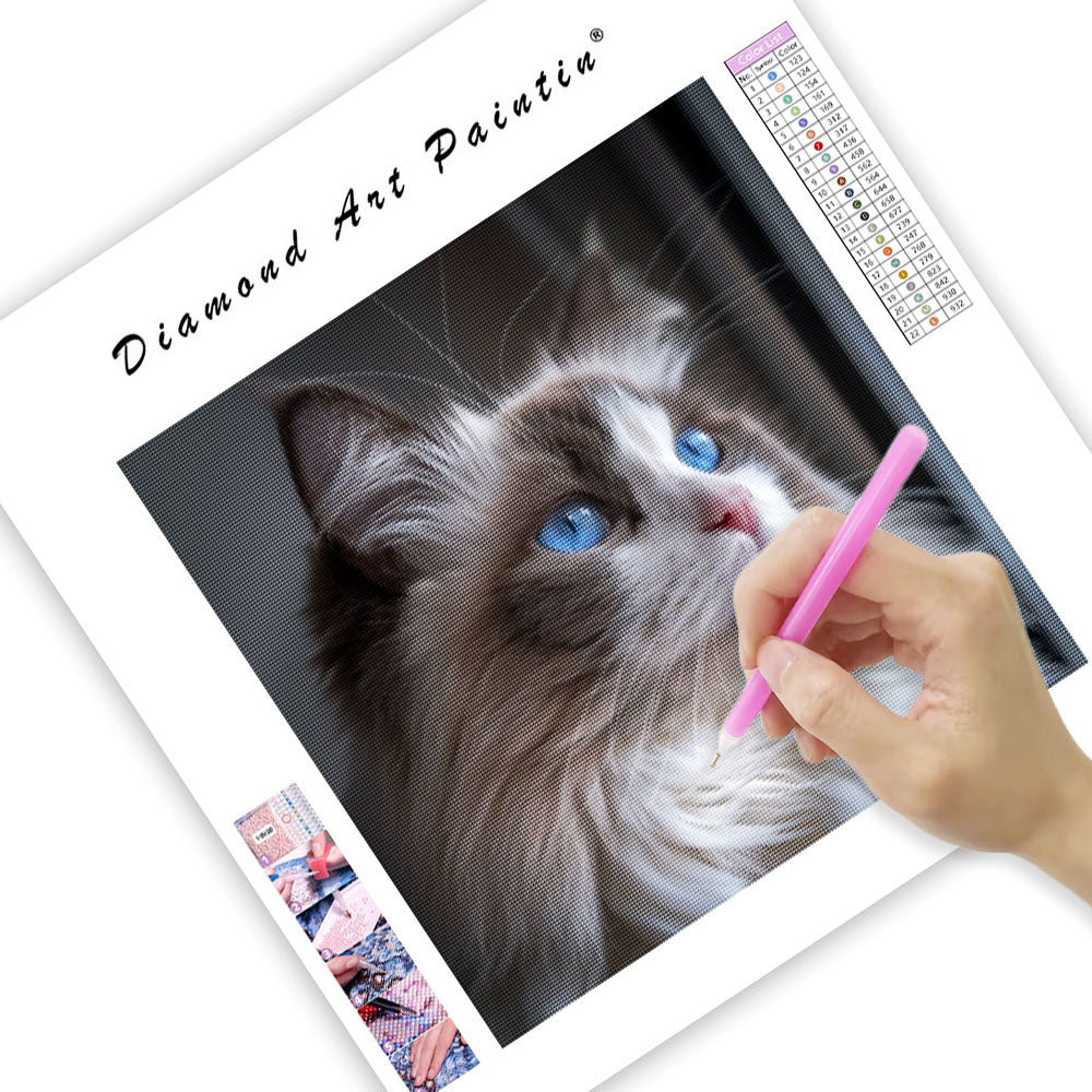 Ragdollkatt med blå ögon – Diamantmålning
