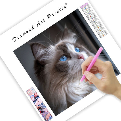 Ragdollkatt med blå ögon – Diamantmålning