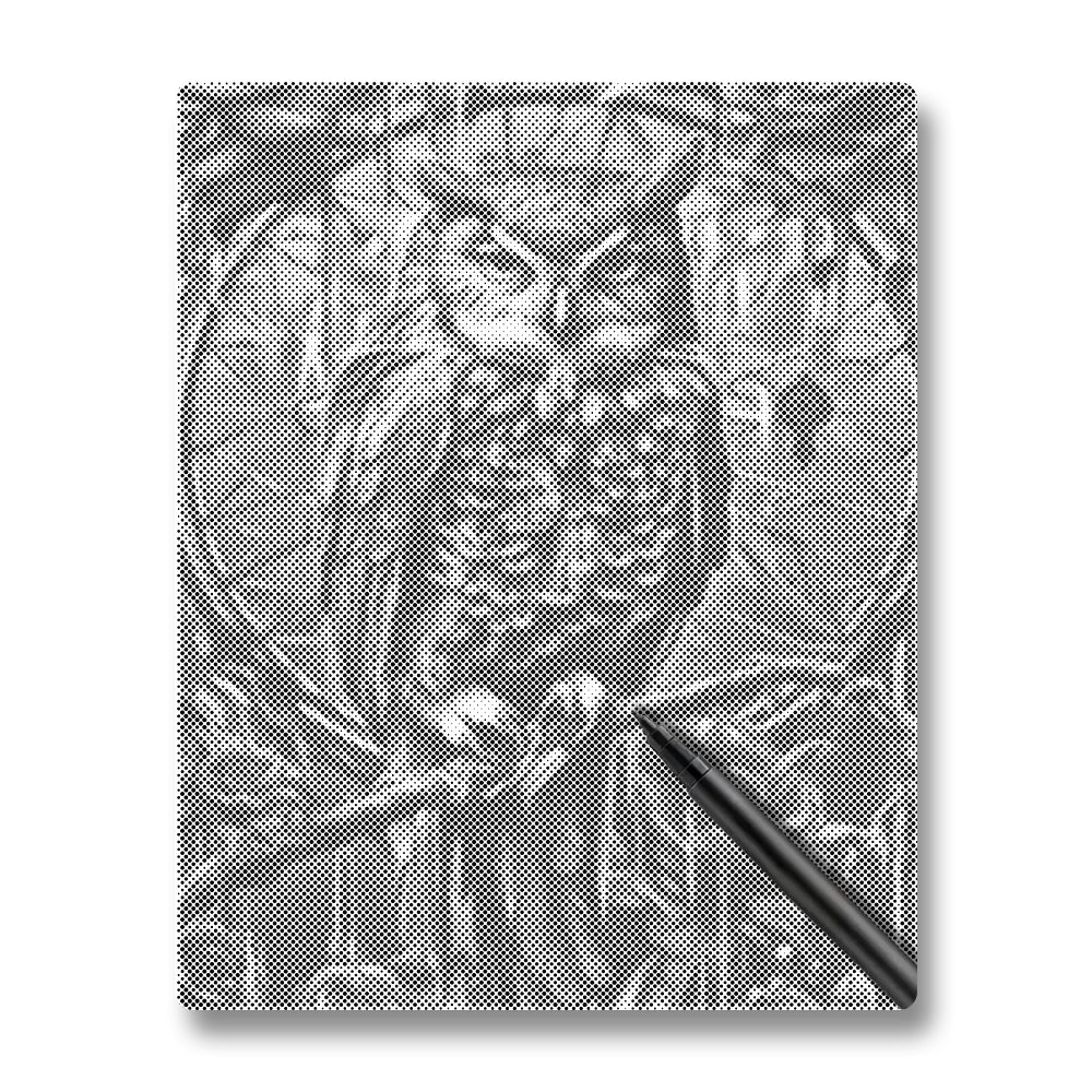 En uggla - Prickmålning