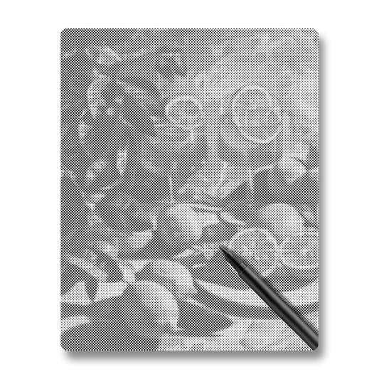 Sommardryck - Prickmålning