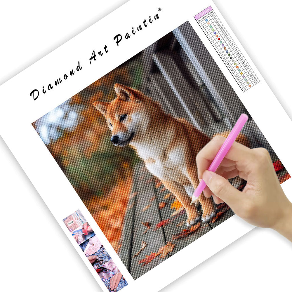 Eftertänksam shiba inu – Diamantmålning