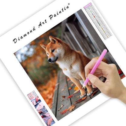Eftertänksam shiba inu – Diamantmålning