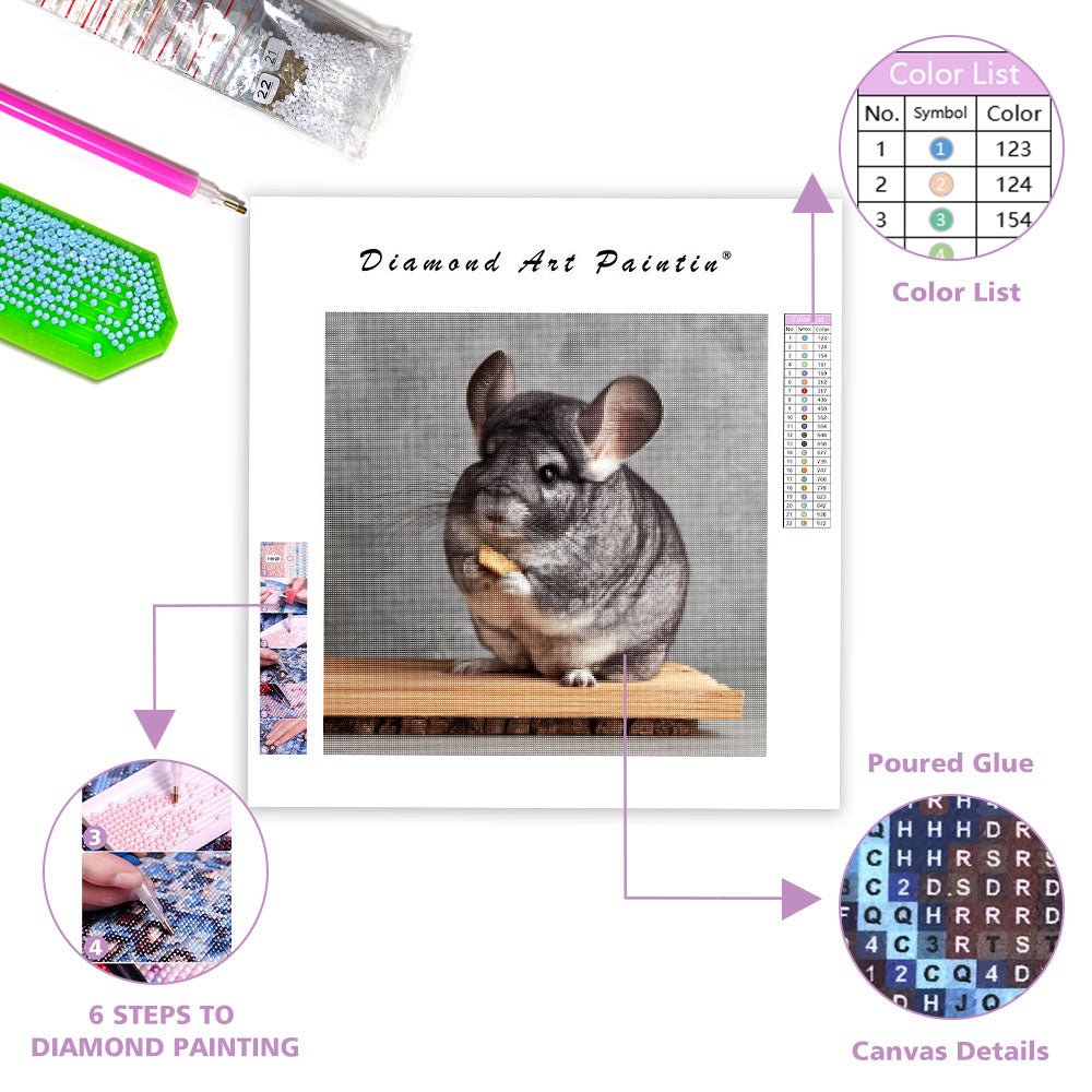 Chinchilla på sittpinne – Diamantmålning