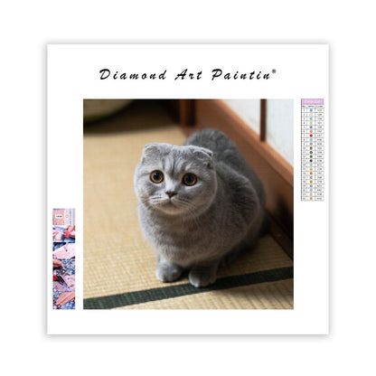 Scottish fold-katt i limpposé – Diamantmålning