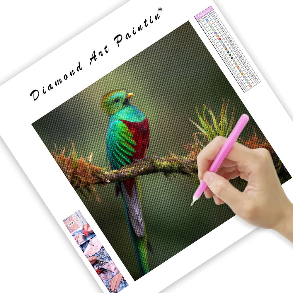 Praktquetzal – Diamantmålning