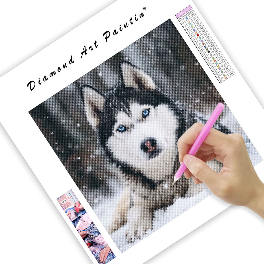 Husky i snön – Diamantmålning