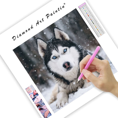 Husky i snön – Diamantmålning