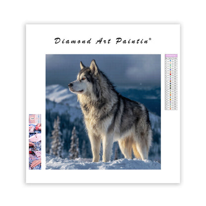 Alaskan malamute med eftertänksam blick – Diamantmålning