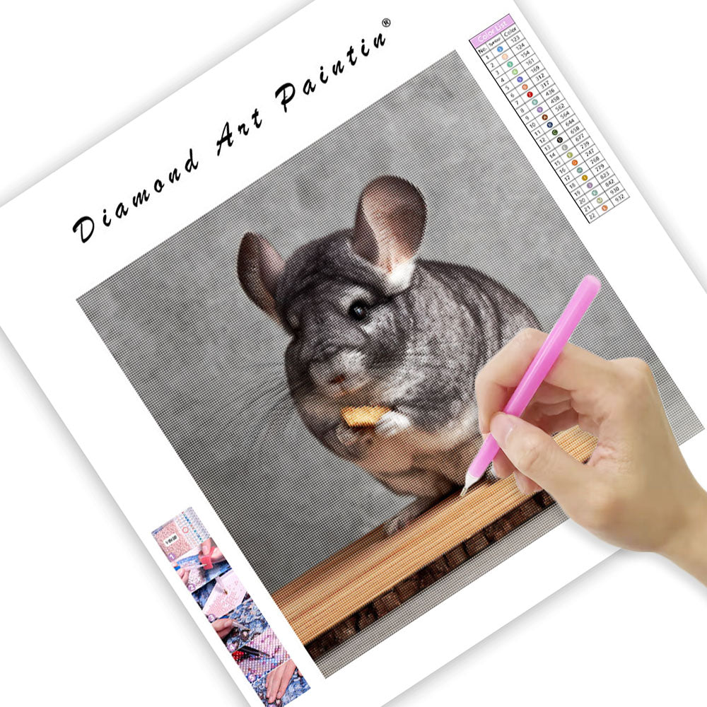 Chinchilla på sittpinne – Diamantmålning
