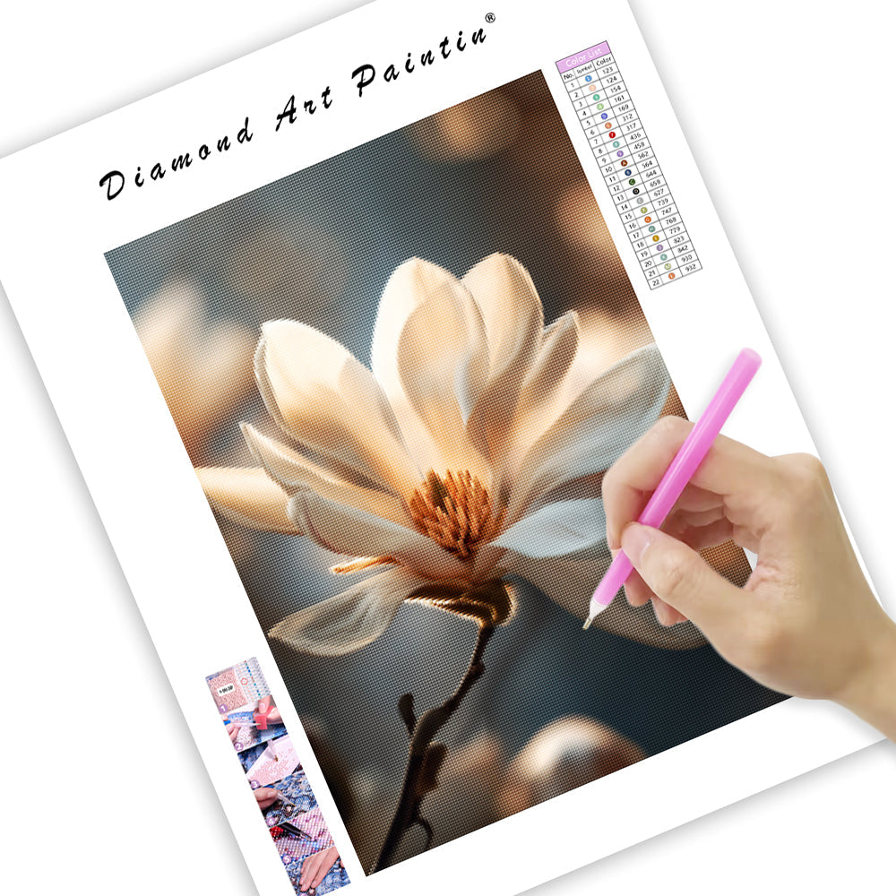 Mjuk vit magnolia – Diamantmålning