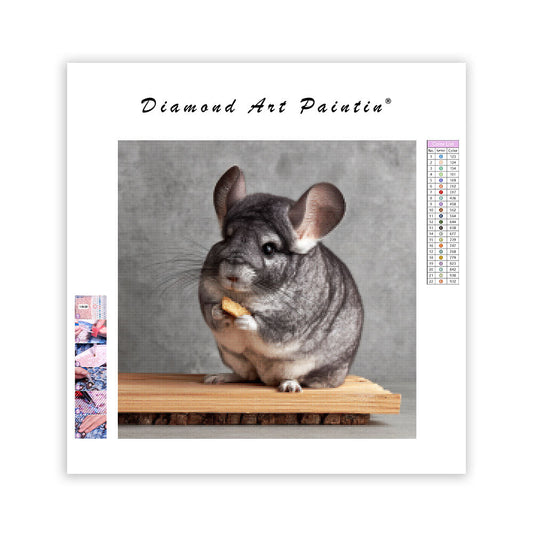 Chinchilla på sittpinne – Diamantmålning