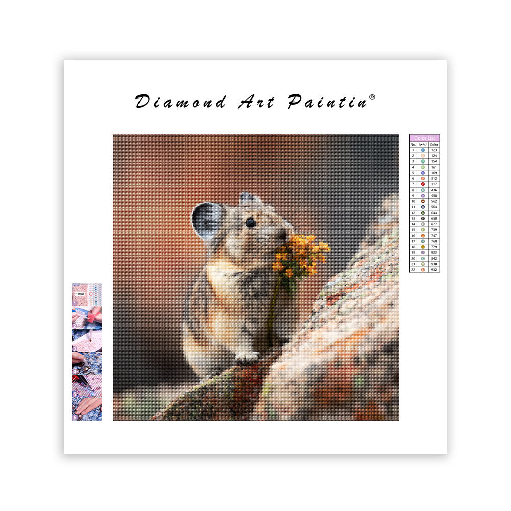 Pika med blomma – Diamantmålning