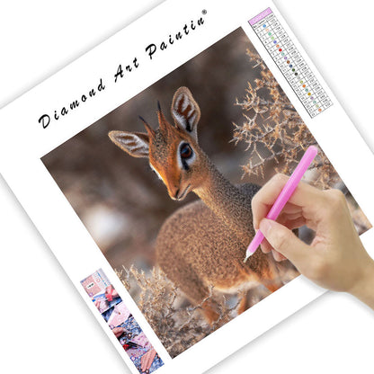 Dik-dik-antilop – Diamantmålning