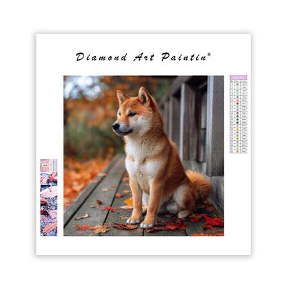 Eftertänksam shiba inu – Diamantmålning