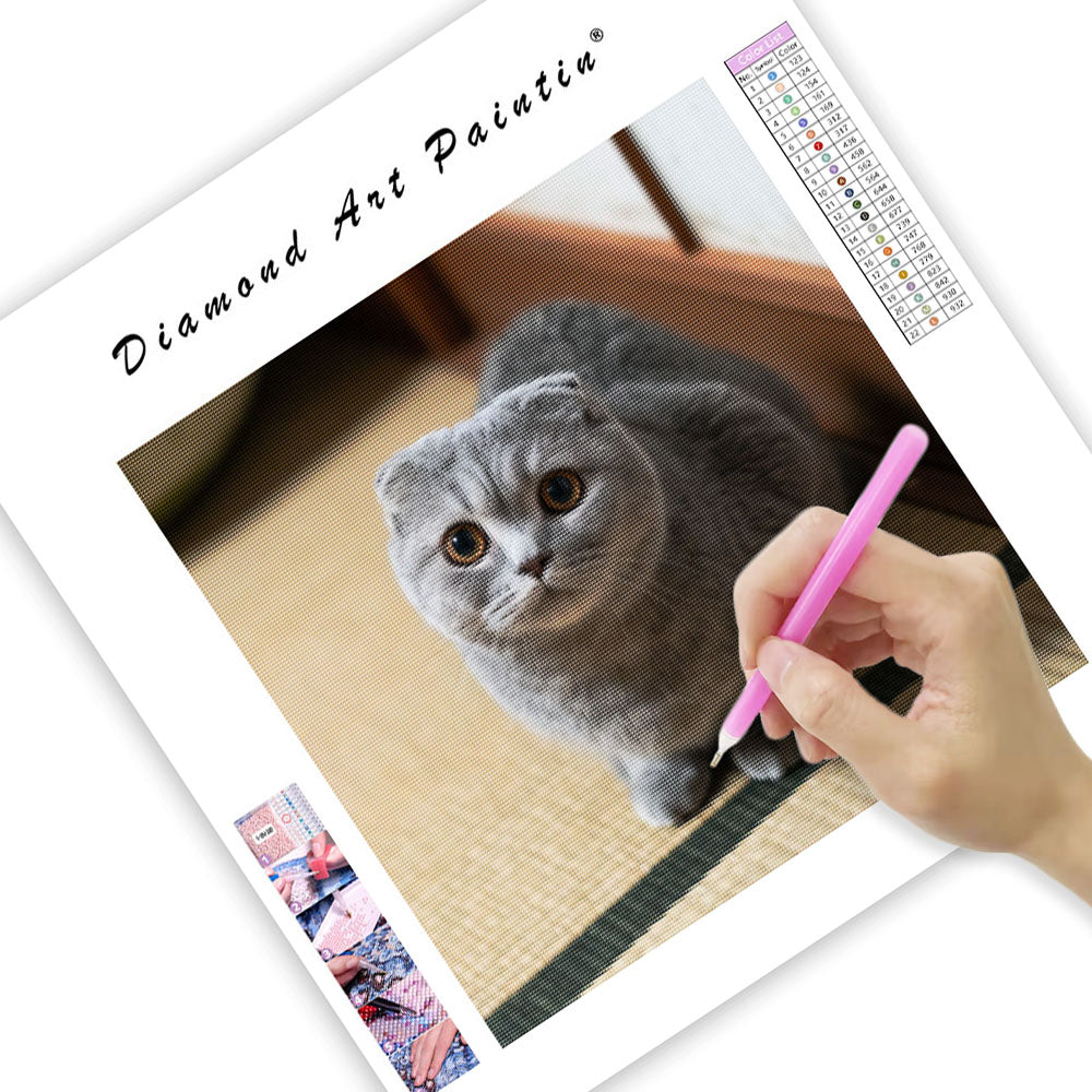 Scottish fold-katt i limpposé – Diamantmålning