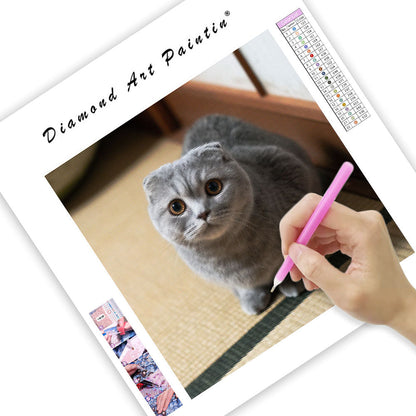 Scottish fold-katt i limpposé – Diamantmålning