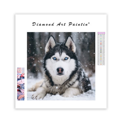Husky i snön – Diamantmålning