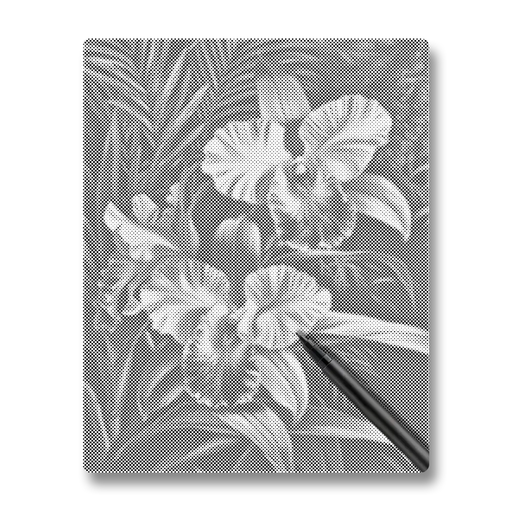 Rosa orkidé - Prickmålning