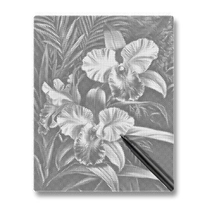 Rosa orkidé - Prickmålning