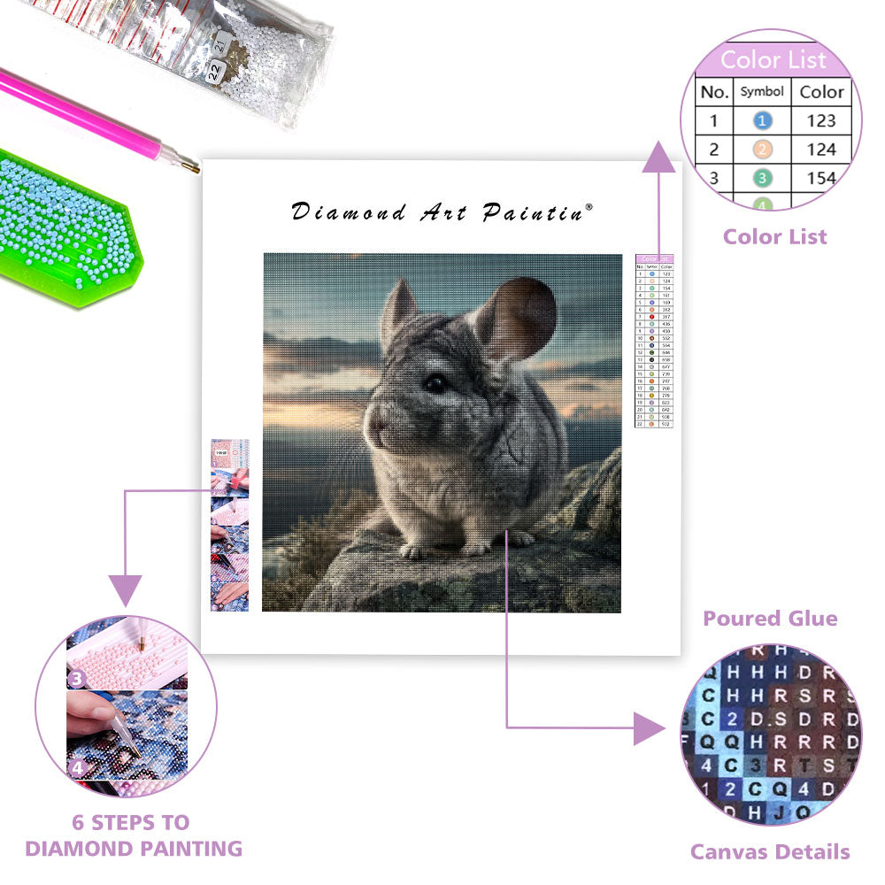 Chinchilla på klippa – Diamantmålning