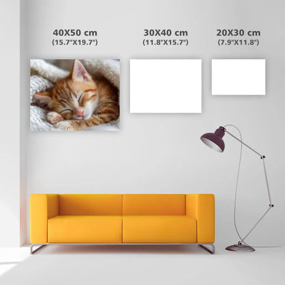 Söt dröm med orange tabbykatt – Diamantmålning