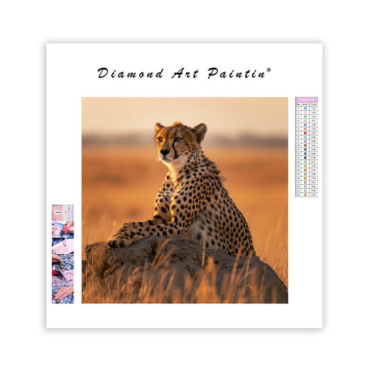 Gepardens blick – Diamantmålning