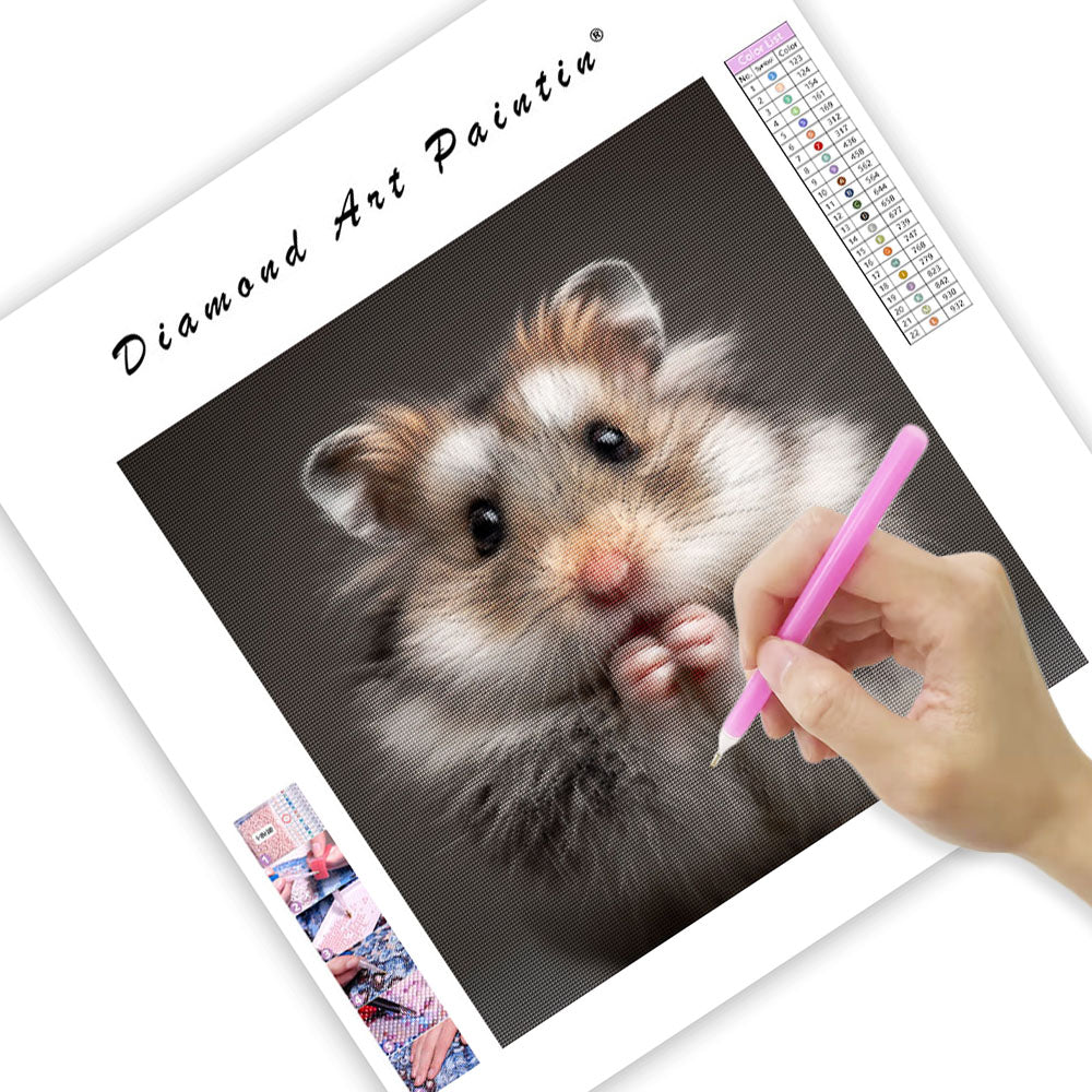 Teddyhamster som putsar sig – Diamantmålning
