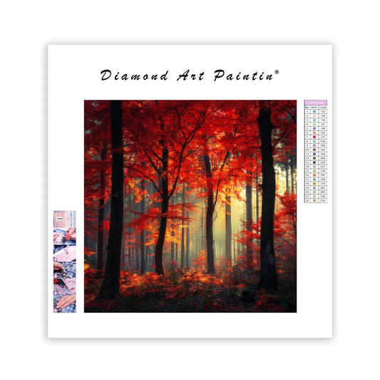 Höstskog - Diamantmålning