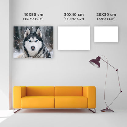 Husky i snön – Diamantmålning
