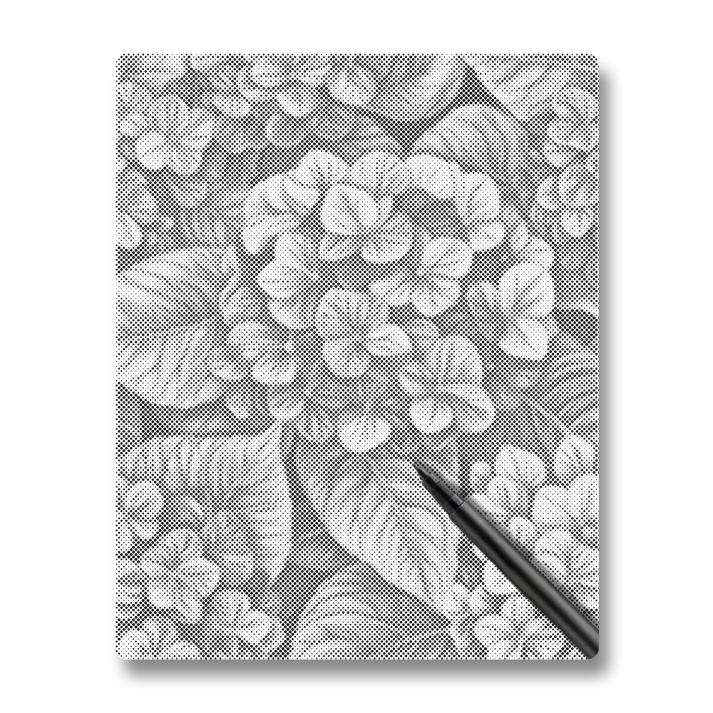 Hortensior i grupper - Prickmålning